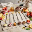 قاشق ۶ عددی دسر خوری استیل سیلور آویزدار 