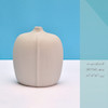 گلدان سرامیکی آوند -SR17147