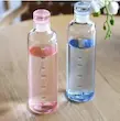 بطری پیرکس رنگی 550 میل 