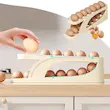 ظرف نگهدارنده تخم مرغ مدل ریلی