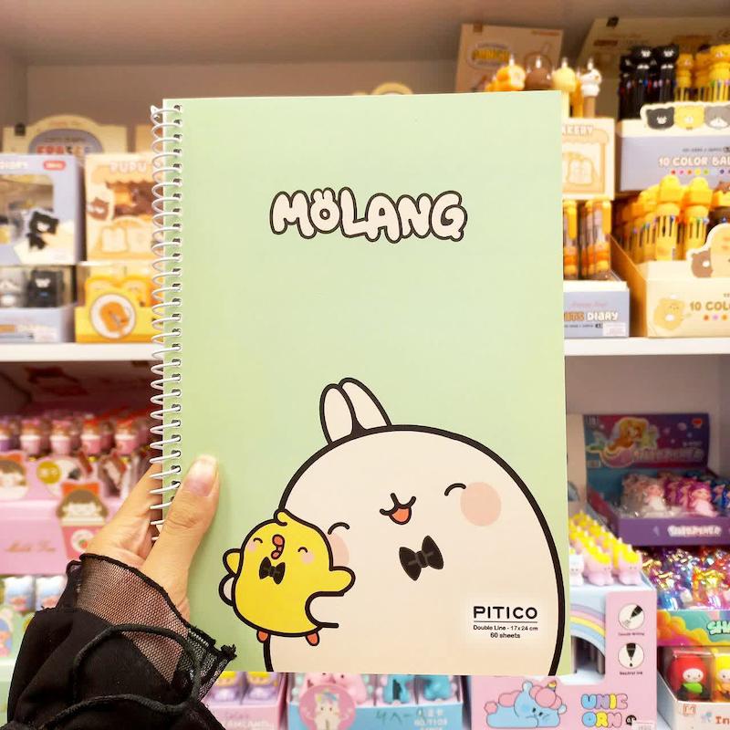 دفتر زبان دو خط ۶۰ برگ molang طرح ۳