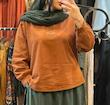 مدل آنیل