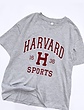 تیشرت اورسایز طرح HARVARD 
