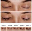 سرم ضدریزش و تقویت کننده ابرو و مژه بیوکسین مدل هیالورونیک اسید  bioxcin eyelash and eyebrow serum