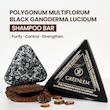 شامپو صابون رشد مجدد و ترمیم کننده گانودرما گرین لم  Greenlem POLYGONUM MULTIFLORUM BLACKGANODERMA LUCIDUM Hair Repair Shampoo Bar