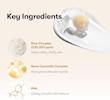 کرم کپسولی برنج و سراماید وی تی کازمتیک ضدلک و روشن کننده قوی  VT COSMETIC Rice Ceramide Capsule Cream