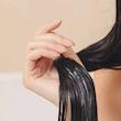 ماسک مو تسوباکی شیسیدو اصل ترمیم عمیق و درخشندگی مو  Shiseido Tsubaki Premium Repair Hair Mask