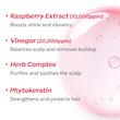 محلول اسکالپ مو و پوست سر A’PIEU با عصاره تمشک | A’PIEU Raspberry Scalp Vinegar Hair Rinse 200ml
