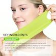ماسک لیفت‌کننده (V-Up) گونه و غب‌غب کاکتوکس دکتر ملاکسین – ۴ عددی  Dr. Melaxin Cactox Cooling V-Up Mask – 4 pcs
