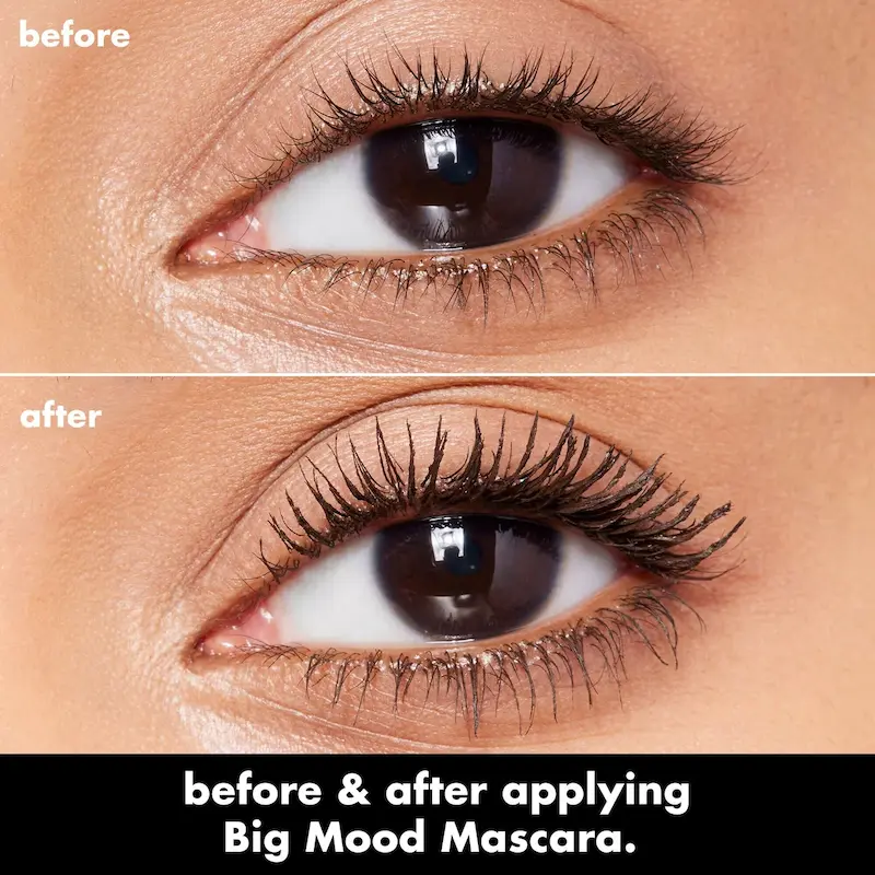 ریمل حجم دهنده و لیفت کننده مژه الف مدل بیگ مود  E.l.f Big Mood Mascara Mega Volume & Lift
