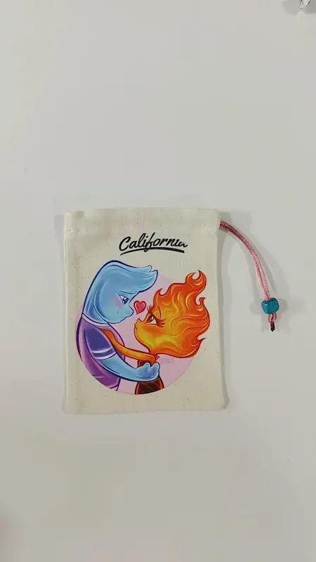 کیسه های نظم دهنده