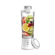 مخلوط‌ کن و شیکر شارژی 600 میلی‌لیتر 240 وات گرین لاین Green Lion Ultimate Blender 600mL