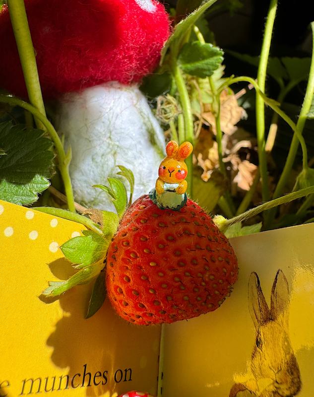 اکسسوری کلبه قارچی 🍄🐰🍃