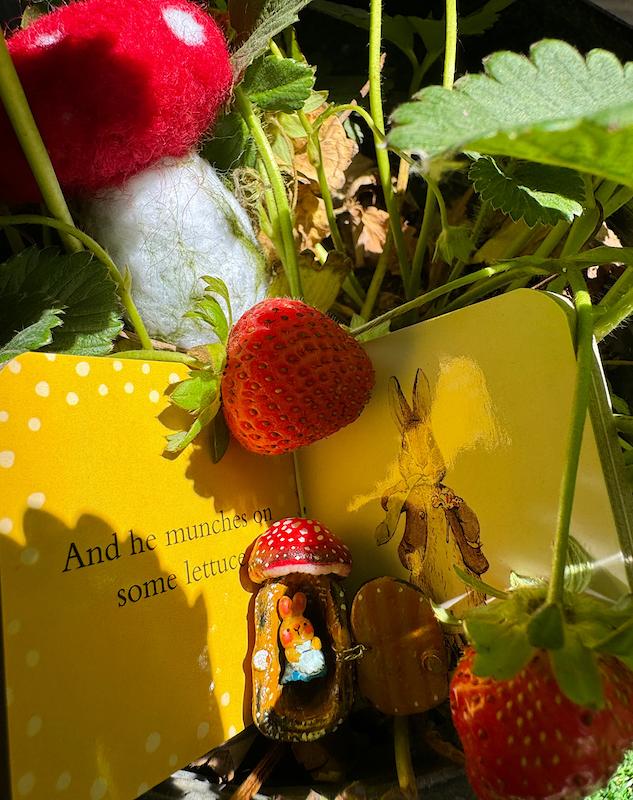 اکسسوری کلبه قارچی 🍄🐰🍃