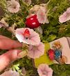 اکسسوری کلبه کوتوله ها🧙🏻🍄