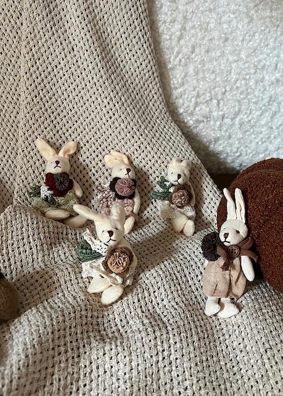 اکسسوری خرگوش🐰
