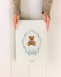 آلبوم طرح Teddy Bear