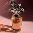 Stellar Times Louis Vuitton