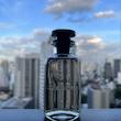 Orage Louis Vuitton