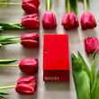 Gucci Rush