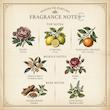 Flora by Gucci Eau de Parfum 