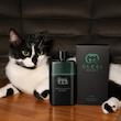Gucci Guilty Black Pour Homme Gucci