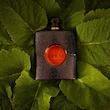 Black Opium Yves Saint Laurent