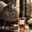 Babycat Yves Saint Laurent