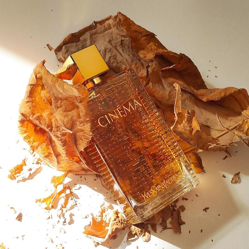 Cinéma Yves Saint Laurent
