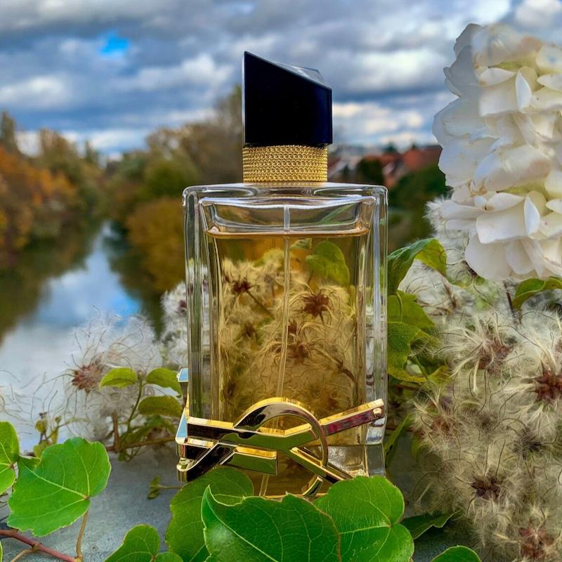 Libre Yves Saint Laurent