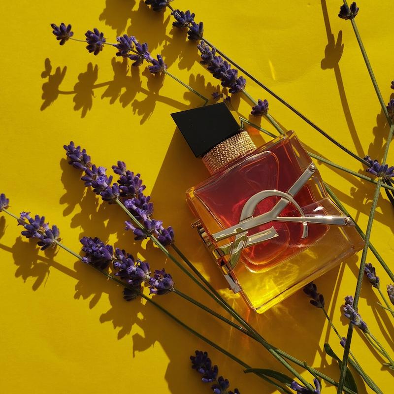 Libre Le Parfum Yves Saint Laurent