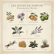 Libre Le Parfum Yves Saint Laurent