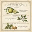 MYSLF Eau de Parfum Yves Saint Laurent