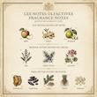 Y Eau de Parfum Yves Saint Laurent