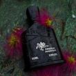 Absolu Aventus 2023 Creed
