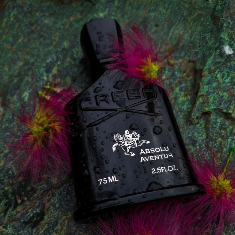 Absolu Aventus 2023 Creed