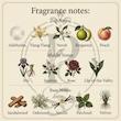 Chanel No 5 Eau de Parfum Chanel