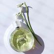 Chance Eau Fraiche Chanel 