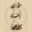 Bois Talisman Dior