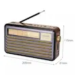 رادیو مییر مدل M-521BT-S