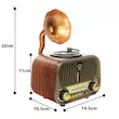 رادیو FM، AM، SW مییر مدل MD-1319 دارای پورت USB