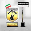 تندیس مسابقه تکواندو- هوگوپوشان