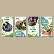 مجموعه قالب لایه باز پست و استوری اینستاگرام | شناسه mg-124017