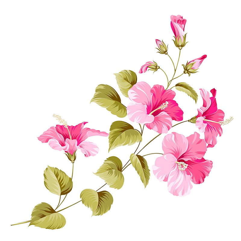 وکتور شاخه گل(بوته گل) بدون پس زمینه لایه باز و قابل ویرایش | شناسه PRO-0385