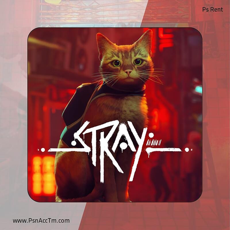 اجاره اکانت قانونی Stray برای PS4 و PS5