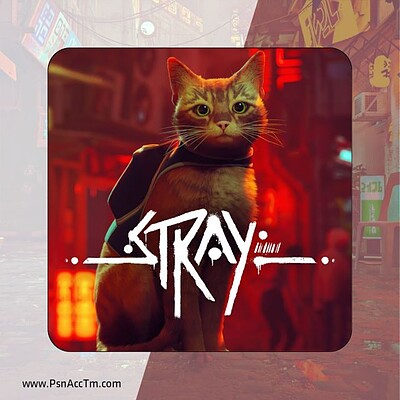 اکانت قانونی بازی Stray برای کنسول PS4 و PS5