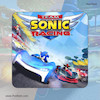 اجاره اکانت قانونی Team Sonic Racing برای PS4 و PS5