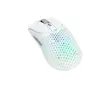 موس گیمینگ گلوریس Glorious Model O2 Wireless