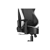 صندلی گیمینگ DXRacer TANK Black and White 