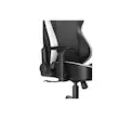 صندلی گیمینگ DXRacer TANK Black and White 